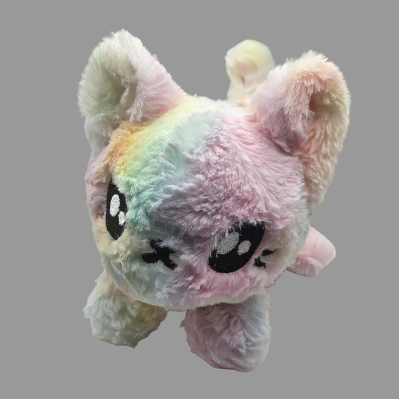 rainbow coloured cat 