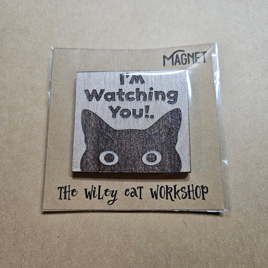 I'm watching you - Cat magnet